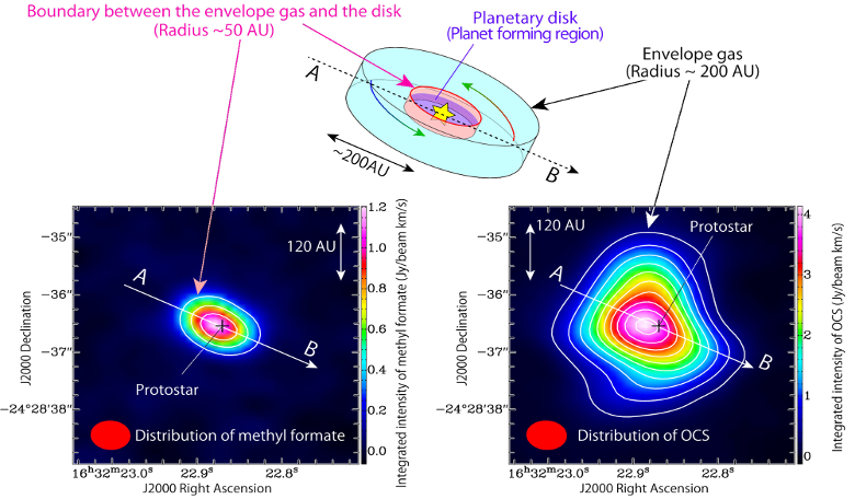  (Upper panel) A schematic illustration of the infalling gas around the protostar. (Lower left) Intensity distribution of methyl formate (HCOOCH3) and (lower right) intensity distribution of OCS (carbonyl sulphide), both observed with ALMA. Image: ALMA (