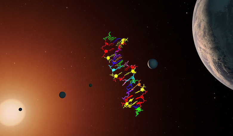 This new synthetic DNA molecule, dubbed hachimoji DNA, uses the four nucleotides of regular DNA (green, red, blue, yellow) in addition to four new ones (cyan, pink, purple, orange). DNA Image: Indiana University School of Medicine