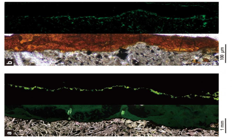 Aerobic bacteria live densely packed into tunnels of clay minerals found in this sample of solid rock, collected from 122 meters beneath the seafloor. Image B is 1,000 times greater magnification than Image A. Image: Suzuki et al. 2020