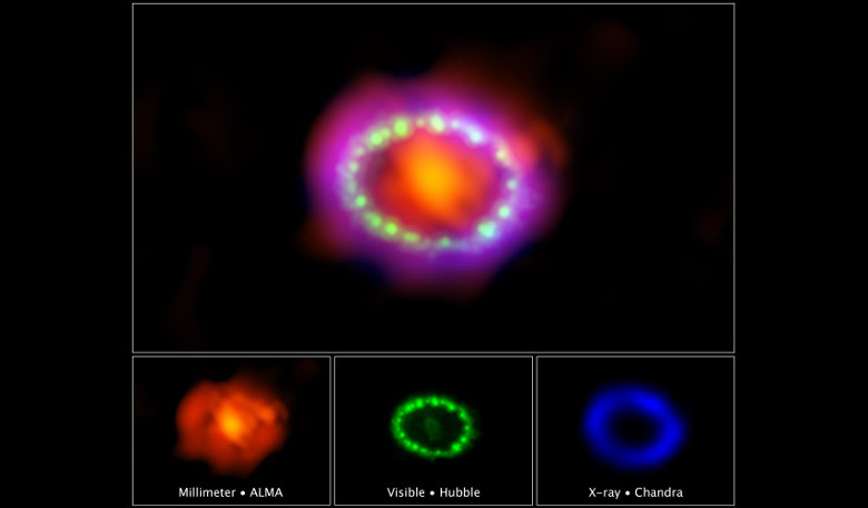 The intricate remains of Supernova 1987A. The red shows newly formed dust in the center of the supernova, the green represents the glow of visible light and the blue colour reveals the hottest gas. Image: NASA, ESA, and A. Angelich (NRAO).