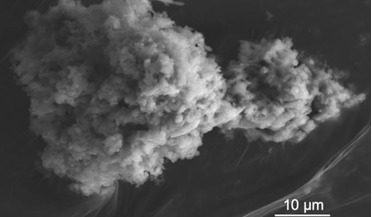 Antarctica, CNRS (Centre national de la recherche scientifique), Concordia station (Dome C), interplanetary dust, National Museum of Natural History