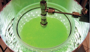 algae, biomass, life-support, long-duration mission, photobioreactor