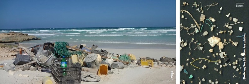 Microplastics (above) collected in the North Pacific subtropical gyre and (left) large ML items, mainly plastics, stranded on a secluded beach.