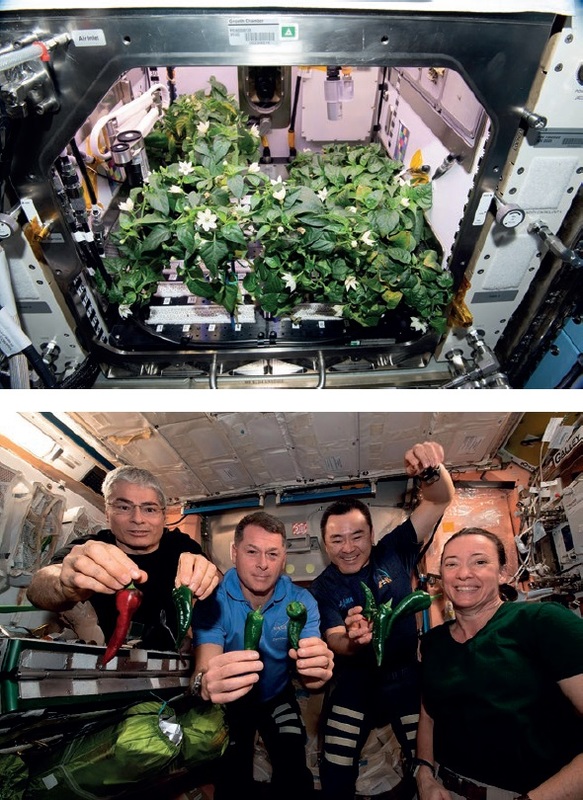 Mark Vande Hei, Shane Kimbrough, Thomas Pesquet, Akihiko Hoshide and Megan McArthur of the Space X Crew-02