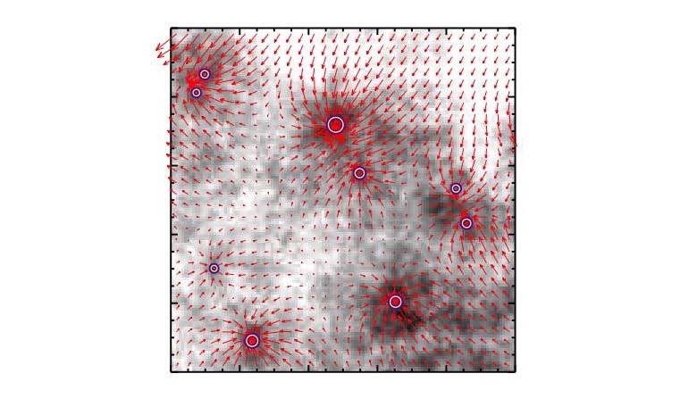 A model of the interstellar medium having a fractal density distribution. Dense cores where proto-stars are forming are marked and gravitational forces generated by them are shown. Image: Igor Chilingarian, Andrei Klishin