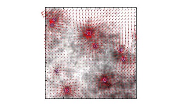 Edwin Saltpeter, IMF, initial mass function, Network science, stellar evolution