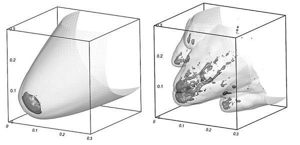 Results of a simulation showing the destruction process of a meteoroid of cometary origin