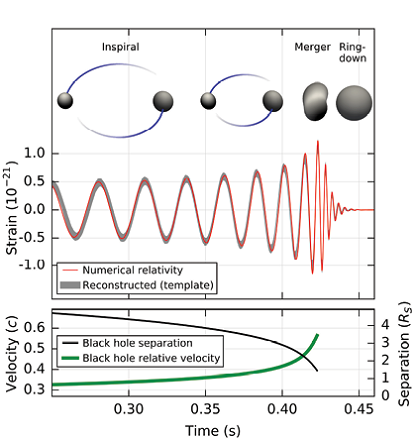 Figure 4: First detection of a gravitational wave by LIGO. The red (top) and blue (bottom) lines show the filtered data collected by the Hanford and Livingston observatories, respectively. The data from each detector is bandpass filtered between 35 Hz and 350 Hz, with additional notch filters used to suppress strong instrumental spectral lines. On the bottom are the separation and velocity of the black holes, and how they change as the merger event unfolds